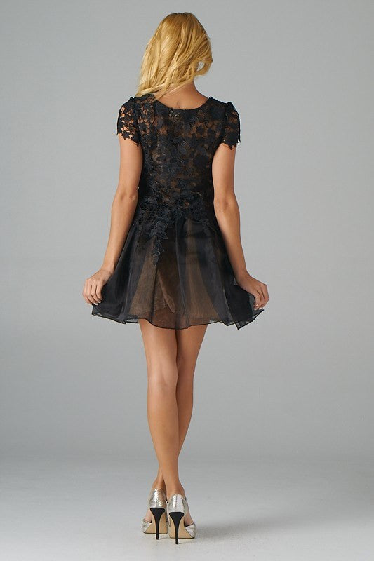 The Cocktail Organza Dress