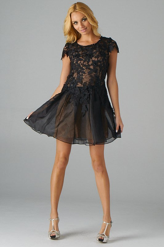 The Cocktail Organza Dress