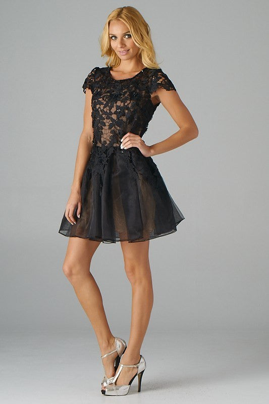 The Cocktail Organza Dress